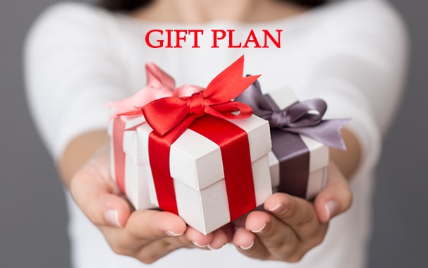Donation Plan