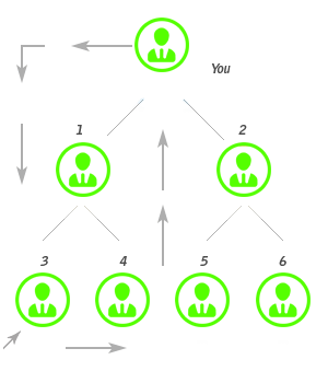 Board  Plan