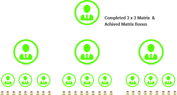 Matrix Bonus