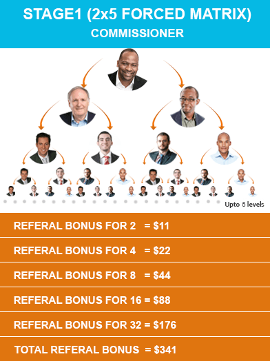 Force Matrix MLM Plan