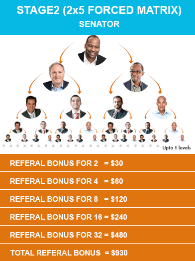 Force Matrix MLM Plan